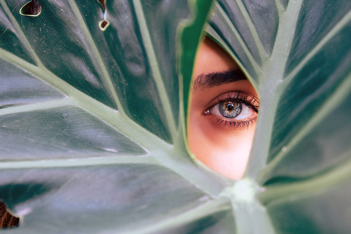Lashes Eyes Brows